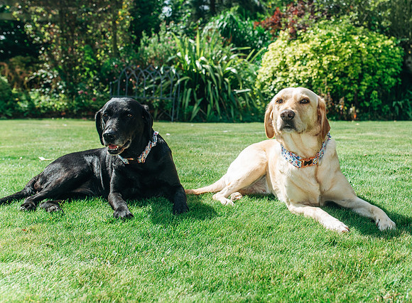 Gary & Nat-1795