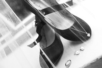 Chris & Dina-6577