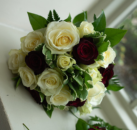 Chris & Dina-6642