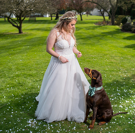 Dan & Stacey (138)