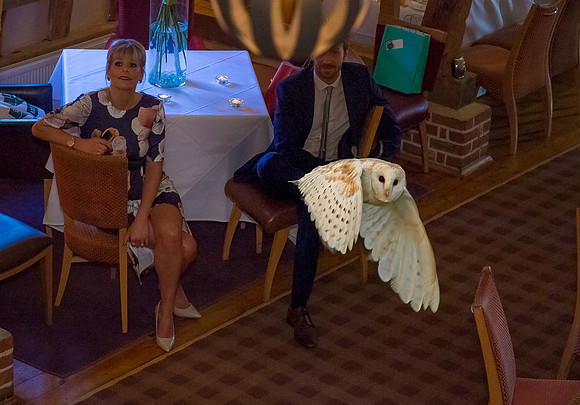 Peter & Debbie-307 owl c