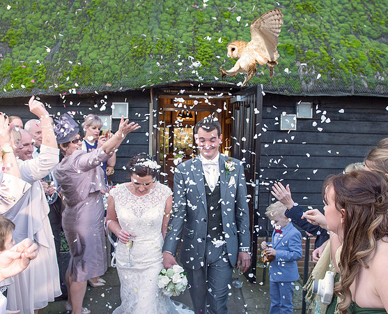 Peter & Debbie-459 owl e