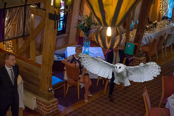 Peter & Debbie-307 owl