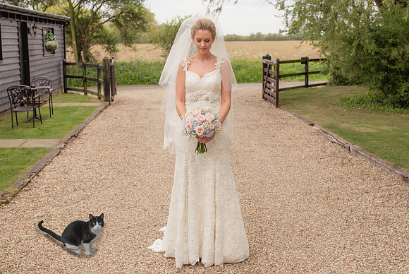 Alex & Jennie-2830 CAT