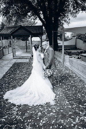 Andy & Sarah (134)