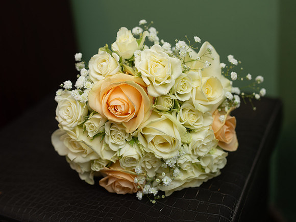 Joe & Claire-9549