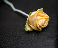 Joe & Claire-9554